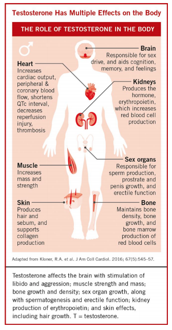 low testosterone causes